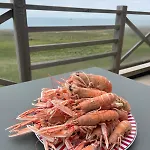 2 Face A La En Terrasse La Naturelle * Wimereux
