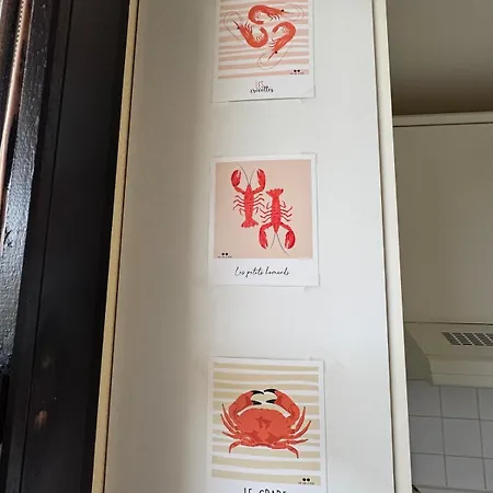 2 Face A La En Terrasse La Naturelle * Wimereux