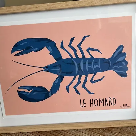 Appartement 2 Face A La En Terrasse La Naturelle *