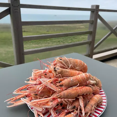 2 Face à La En Terrasse La Naturelle * Wimereux